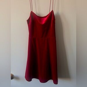 Red Velvet Skater Dress